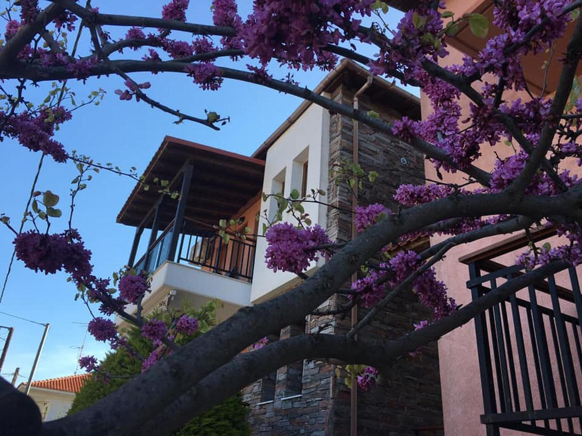 Apartment Nea Roda Apartments *